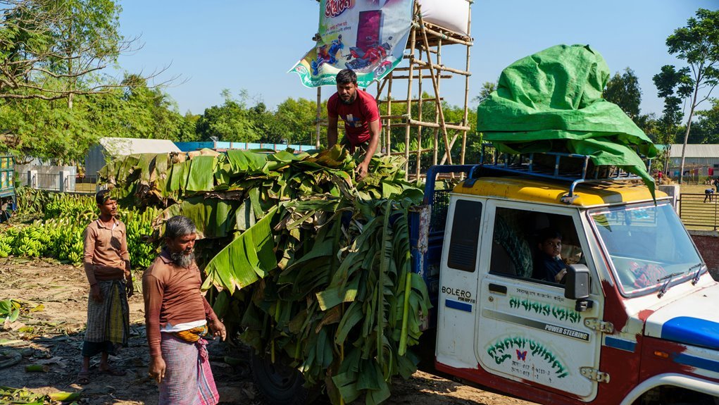 business analysis and insights