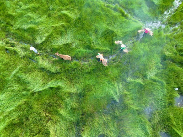 business landscape analysis report